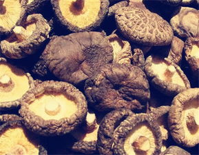 山珍 香菇价格多少钱一斤 是哪里的特产 据说这几地方的香菇品质最好
