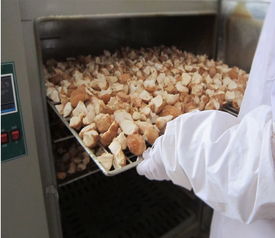 黑龙江海林市基地供应破壁猴头菇粉
